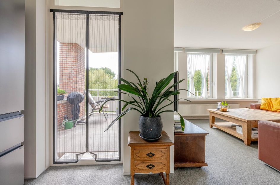Verboomstraat 275