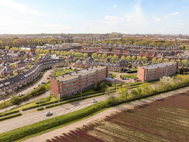 Peterhof 44, Noordwijk