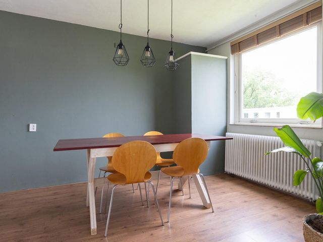 Rubenslaan 71 3, Utrecht