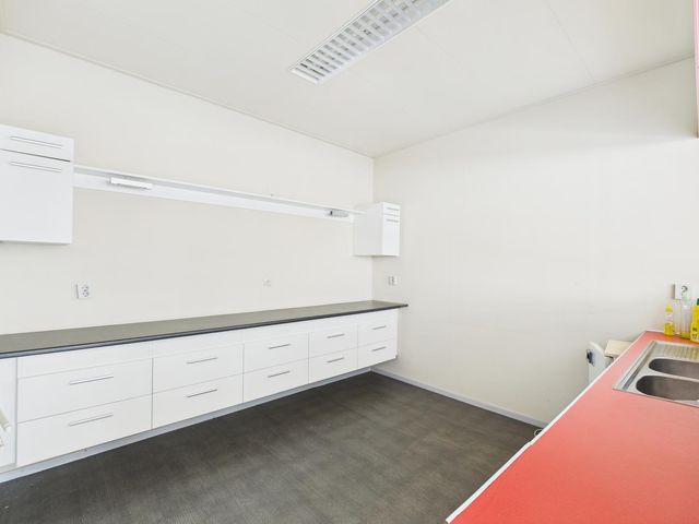 Rapenburg 30, Vogelwaarde