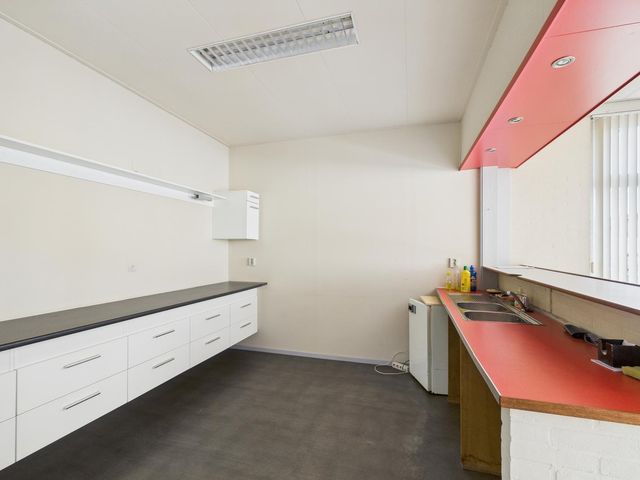 Rapenburg 30, Vogelwaarde