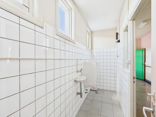 Rapenburg 30, Vogelwaarde