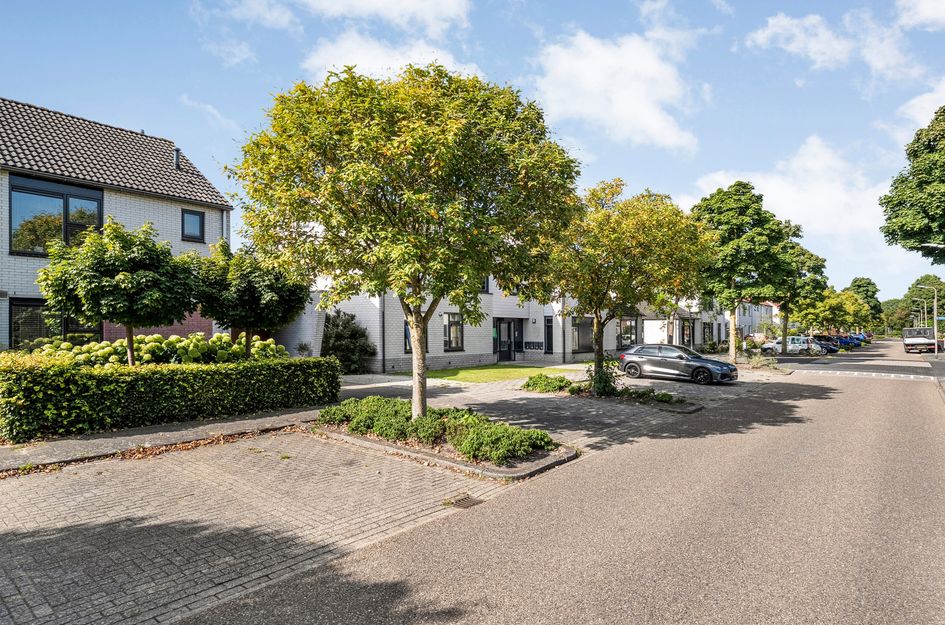 Boterbloem 12