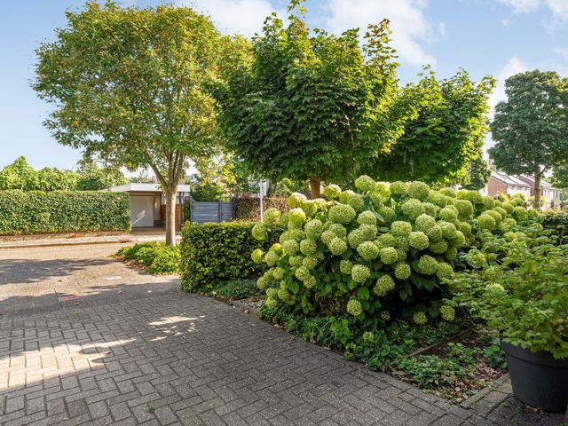 Boterbloem 12, Hardenberg