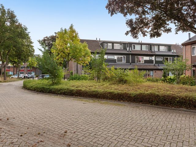 Brugakker 3642, Zeist