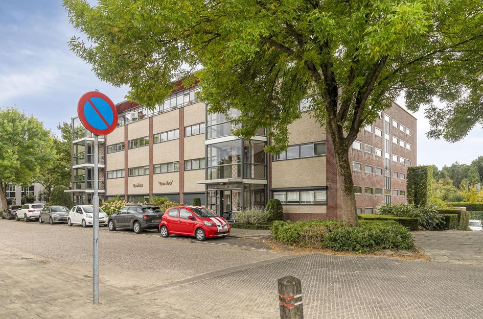 Aalscholver 24