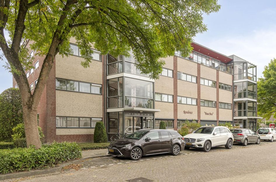 Aalscholver 24