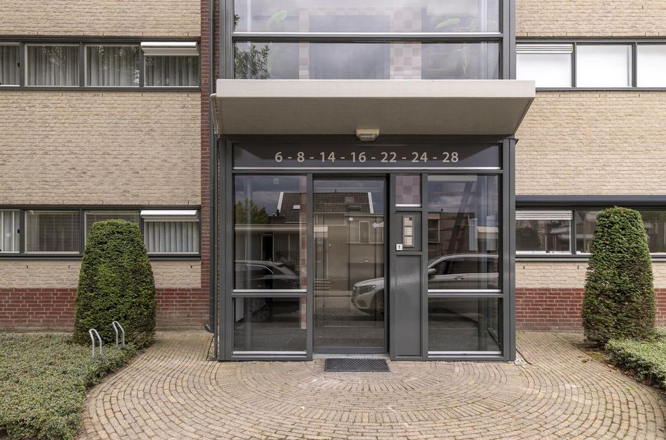 Aalscholver 24