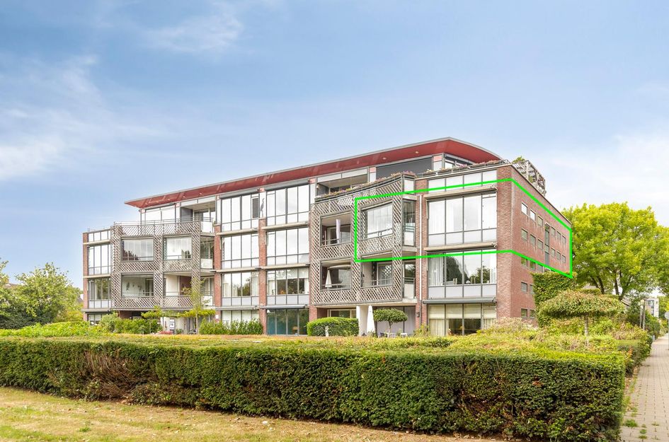 Aalscholver 24