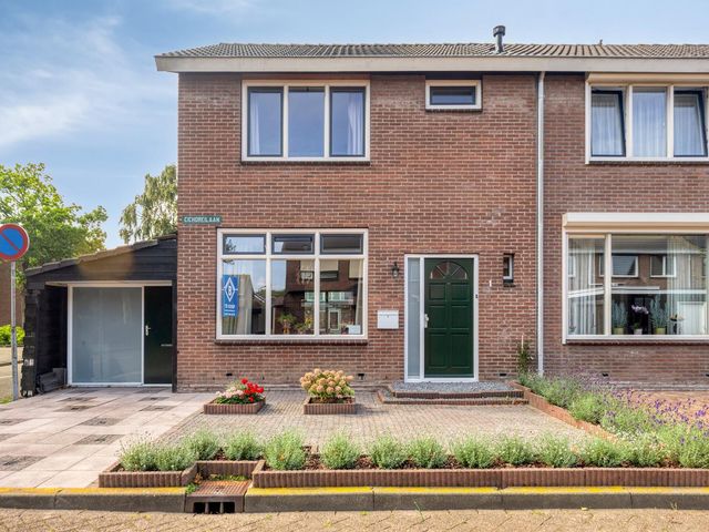 Cichoreilaan 1, Ouddorp