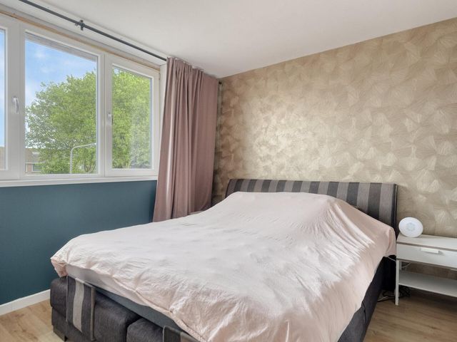 Cichoreilaan 1, Ouddorp