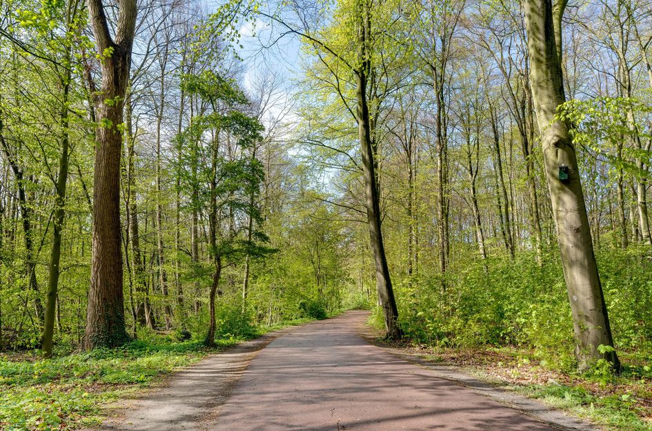 Leidsestraatweg 15 417