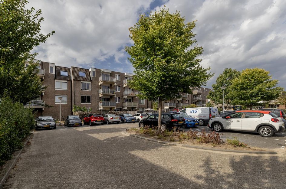 Kopspoor 89