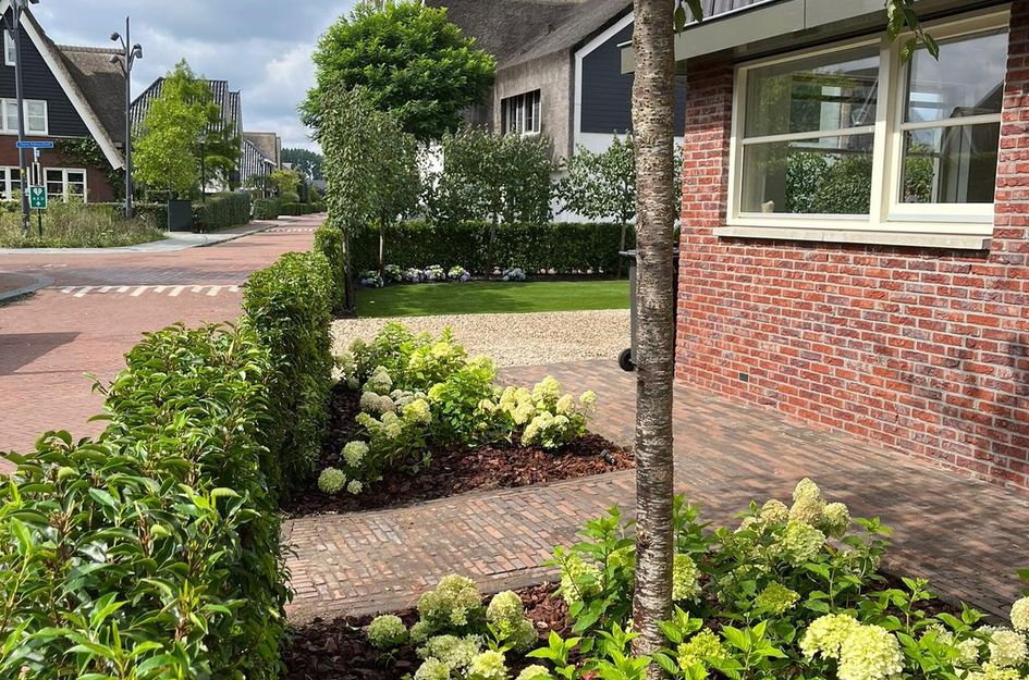 Zuiderzeedreef 17
