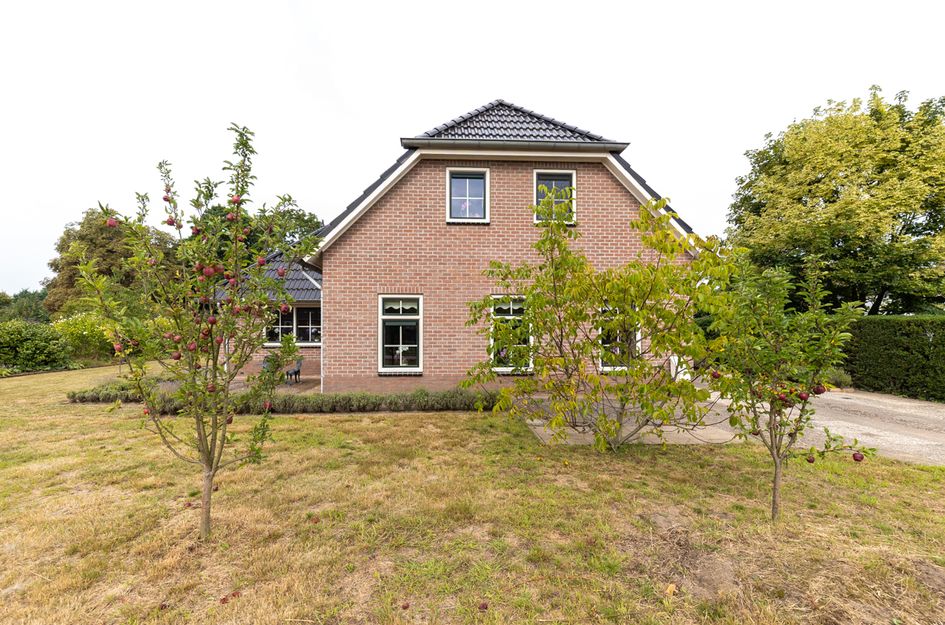Zaagpad 3