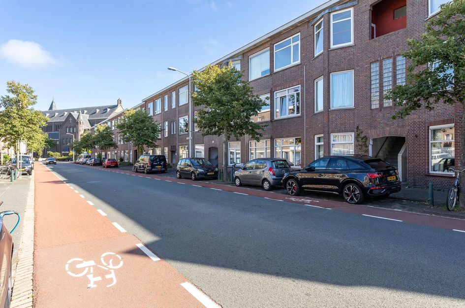 Kamperfoeliestraat 217