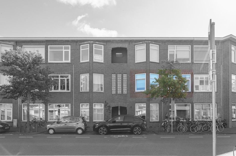 Kamperfoeliestraat 217