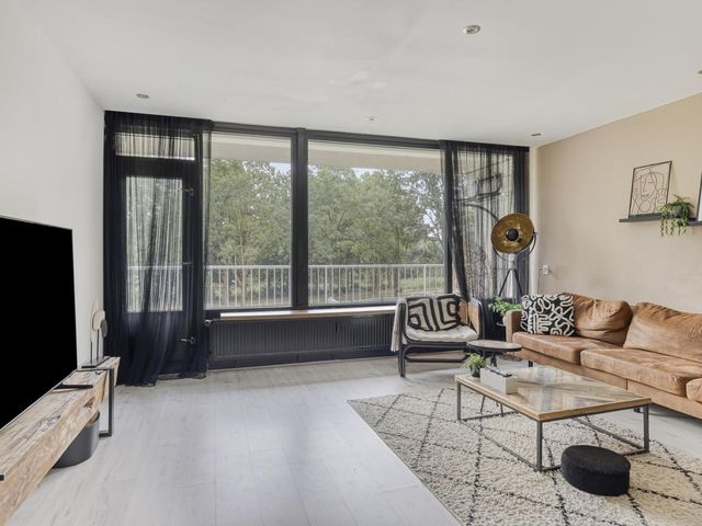 Pharus 47, Zaandam