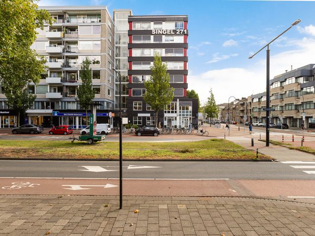 Johan de Wittstraat 266, Dordrecht