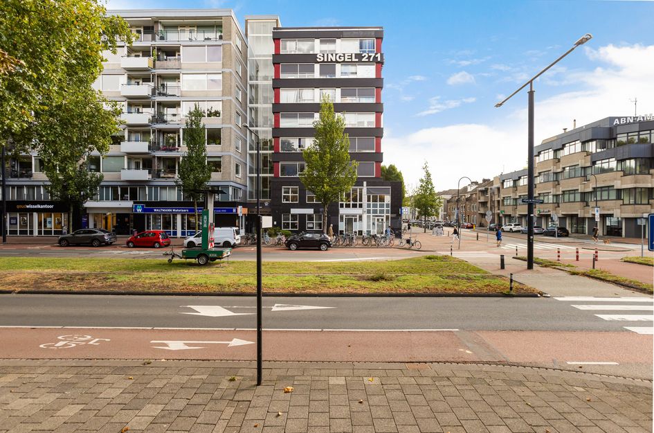 Johan de Wittstraat 266