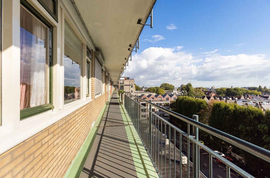 Johan de Wittstraat 266