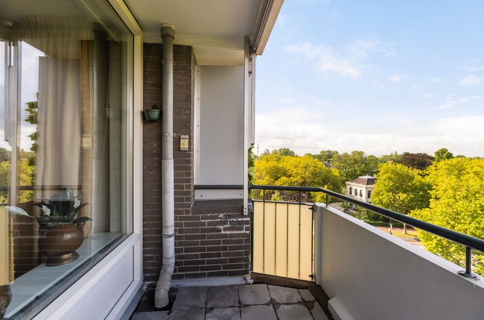 Johan de Wittstraat 266