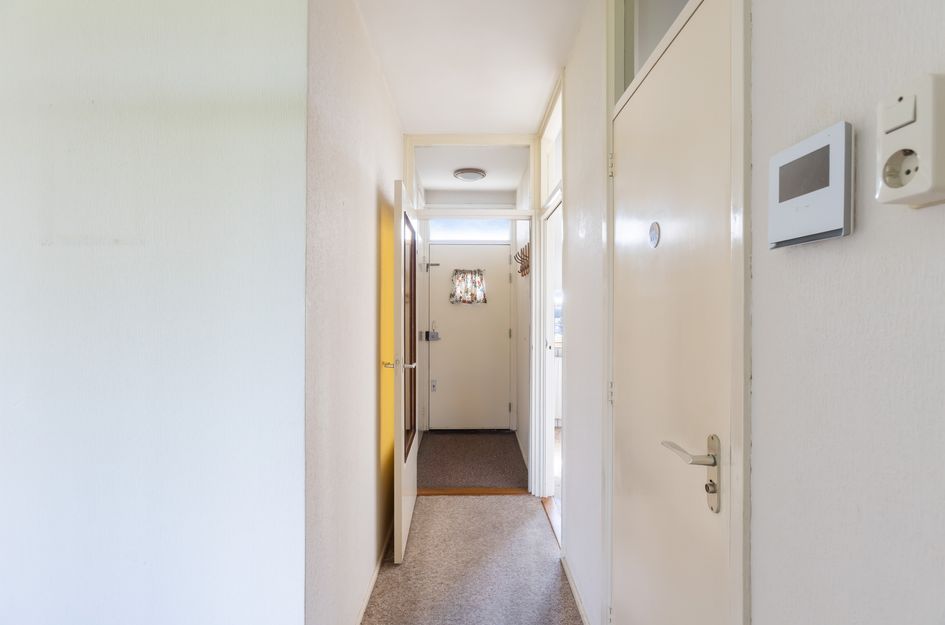 Johan de Wittstraat 266