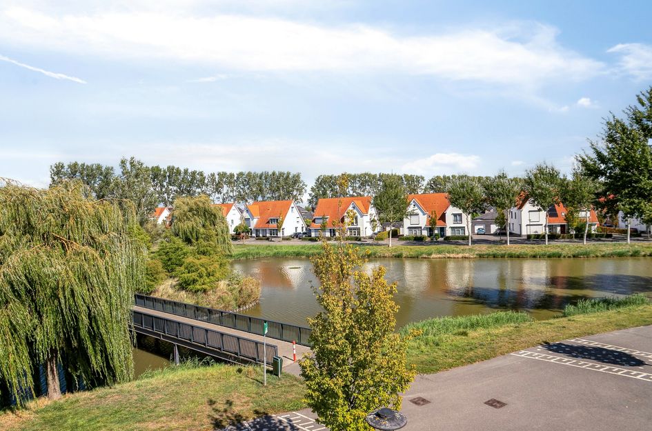 Ooievaar 7