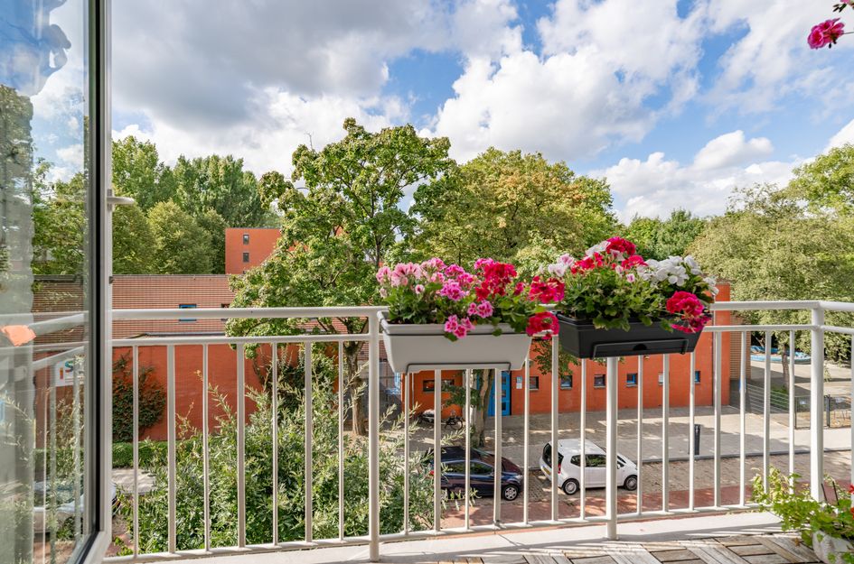 Scholtenstraat 66