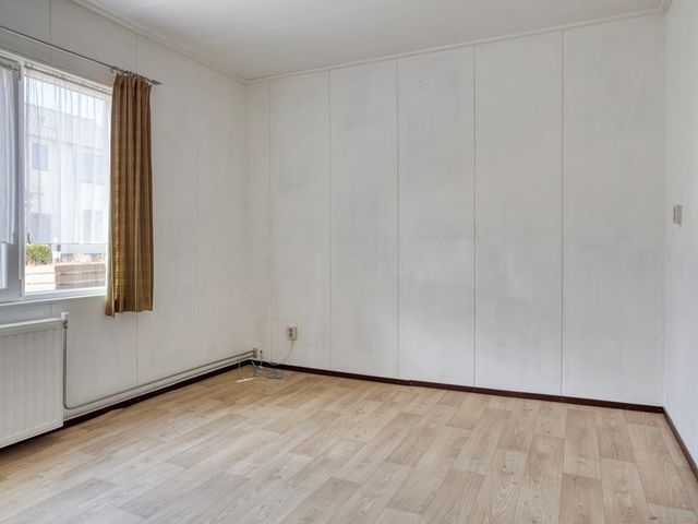 Rapenburg 114, Vogelwaarde