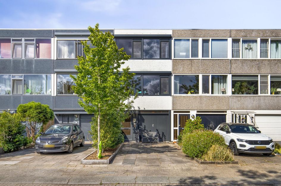 Akkerdistel 15