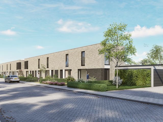 Elzenstraat 8, Vogelwaarde