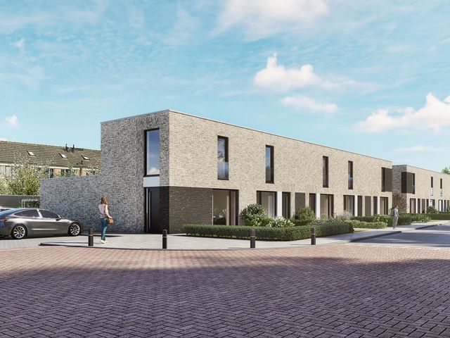 Elzenstraat 12, Vogelwaarde