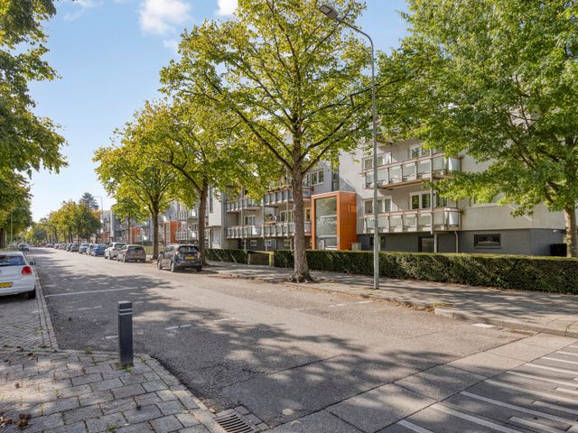 Lienaertsstraat 114, Geleen