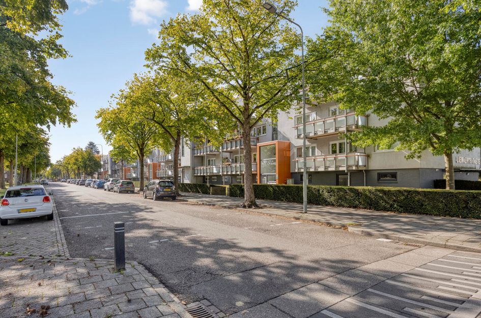 Lienaertsstraat 114