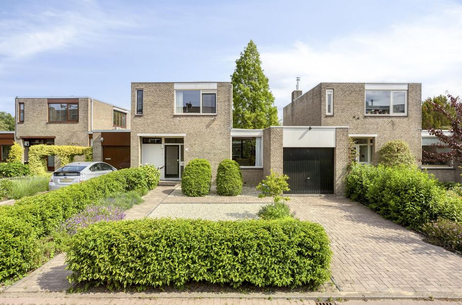 Boksdoorn 6