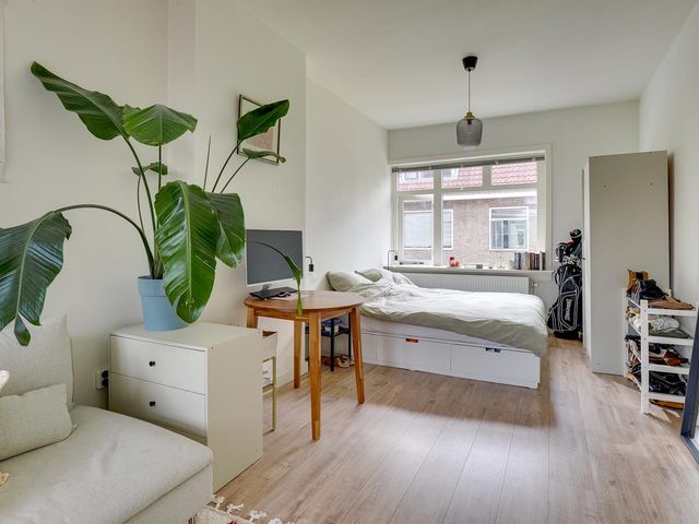 Linnaeusstraat 30BS, Utrecht