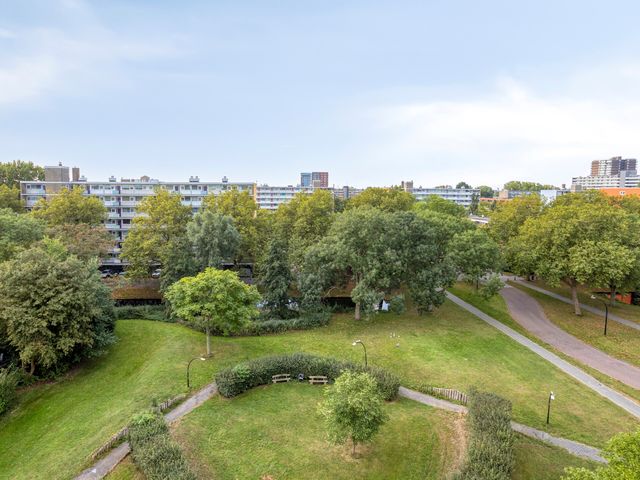 Dirk Schäferplein 142, Schiedam