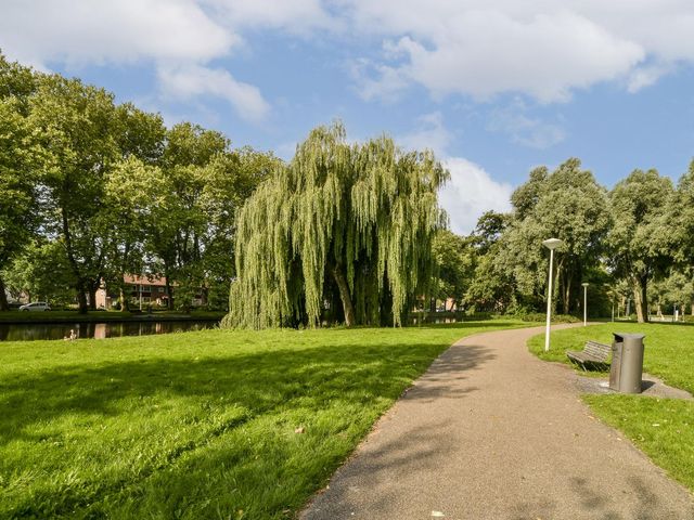 Freek Oxstraat 15 2, Amsterdam