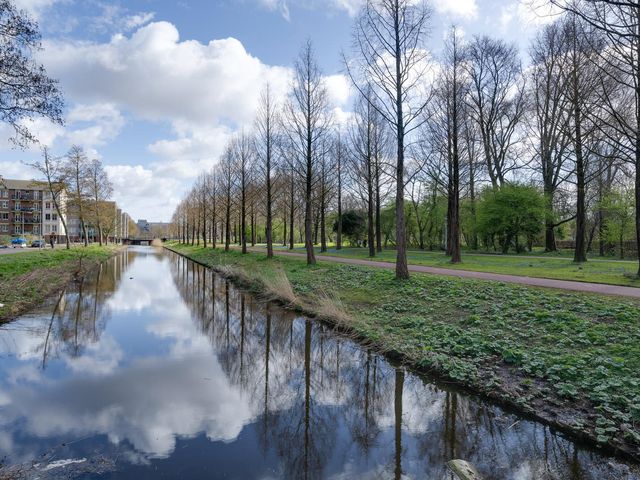 Freek Oxstraat 15 2, Amsterdam