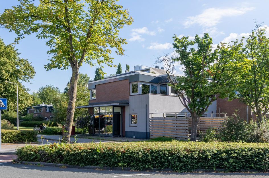 Tholenseweg 40A