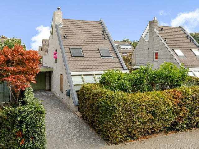 Regenwulp 58, Breda