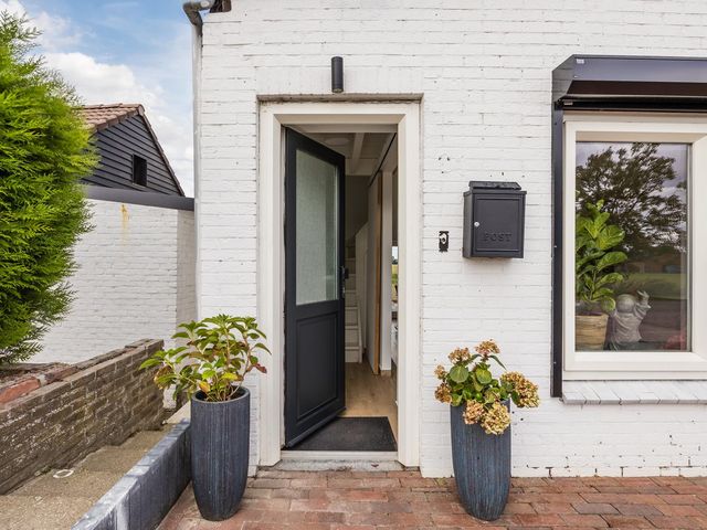 Kwakkel 21, Zaamslag