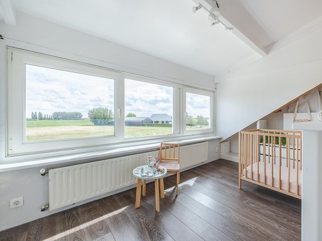 Kwakkel 21, Zaamslag