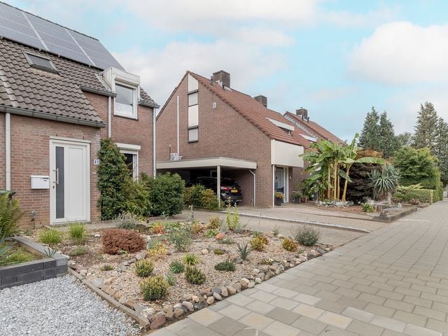 Faunasingel 41, Roermond