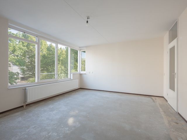 Pieter Nieuwlandstraat 8B, Amsterdam