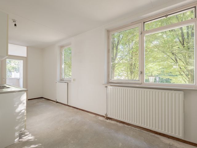 Pieter Nieuwlandstraat 8B, Amsterdam