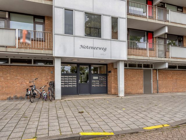 Noteneeweg 79, Terneuzen