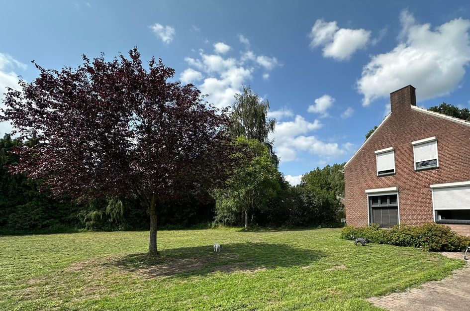 Wagenstraat 40