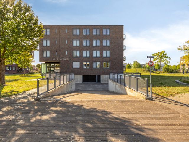 Gamander 6, Heinkenszand